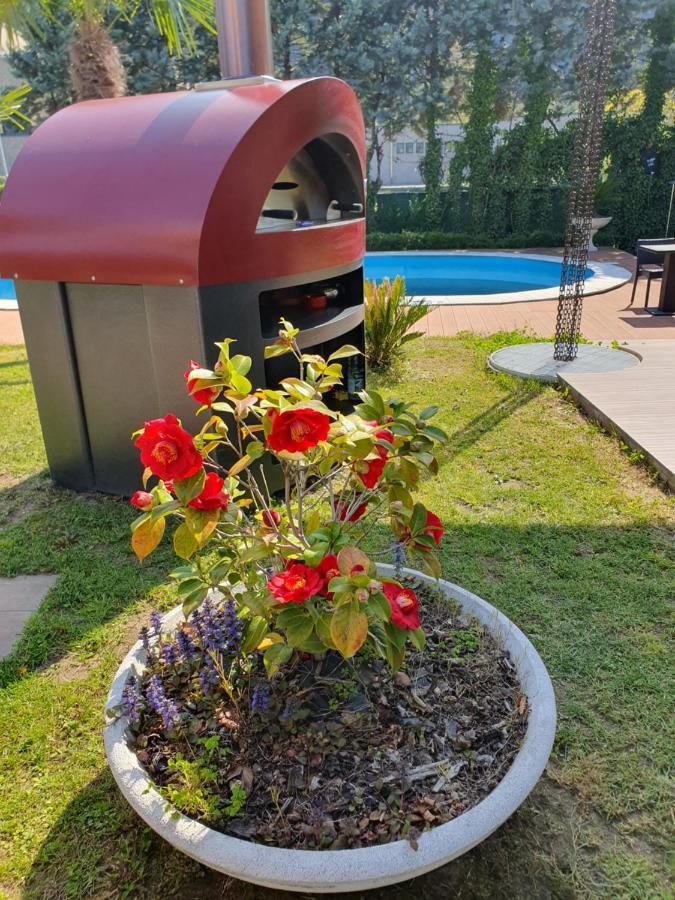 Villa Mariel Lago Maggiore Gravellona Toce Ngoại thất bức ảnh