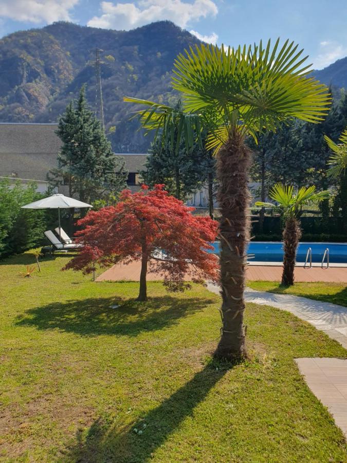 Villa Mariel Lago Maggiore Gravellona Toce Ngoại thất bức ảnh